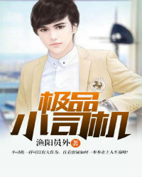 ��ƷС˾������