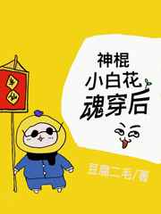 ���С�׻��괩�����