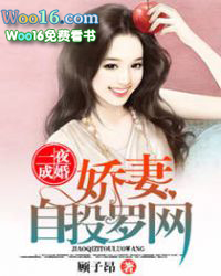 һҹ�ɻ飬������Ͷ��������