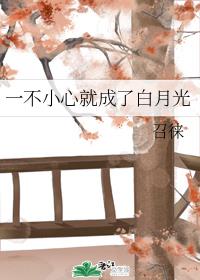 һ��С�ľͳ��˰��¹����