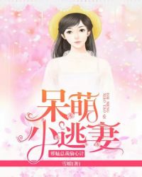 а���ܲ�͵�ļƣ�����С���޷���