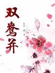 ˫�첢����