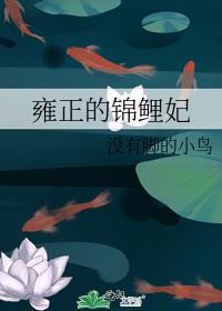 Ӻ���Ľ���������