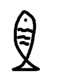 ���㲻��������[����]����