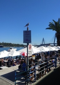 ҪͶ̥����Ҫȥ���߸��˷���