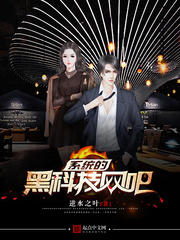 ϵͳ�ĺڿƼ����ɷ���