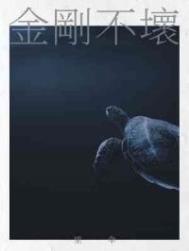 ��ղ�������