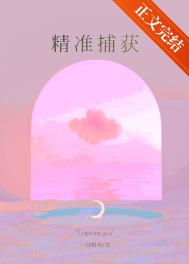 ��׼�������