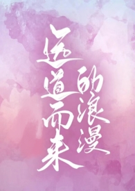 Զ����������������