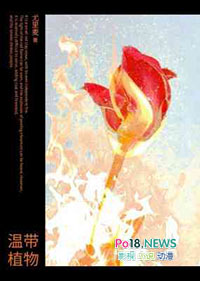 �´�ֲ�����