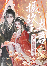 ���������װ��������ƭ�ҷ���