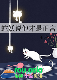 ����˵��������������