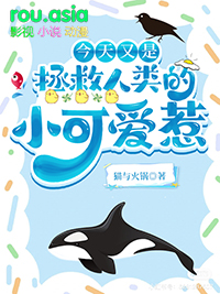 �����������������С�ɰ��Ƿ���