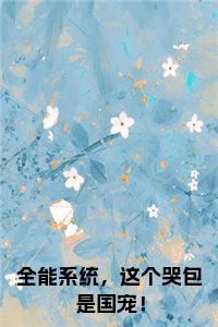 ȫ��ϵͳ������ް��ǹ������