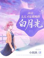 ½�ܣ�̫̫���������İ��¹����