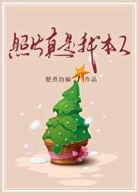 ��Ƭ�����ұ��˷���