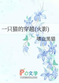 һֻè�Ĵ�Խ����