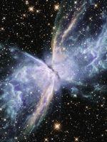 ��ά����