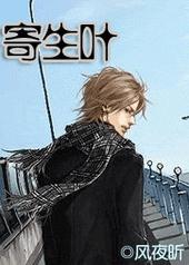 ����Ҷ����