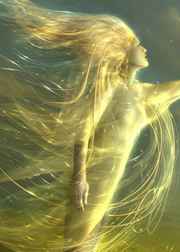 [����]�������Ϸ���