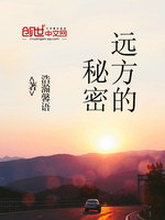 Զ�������ܷ���