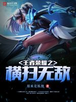 ������ҫ֮��ɨ�޵з���