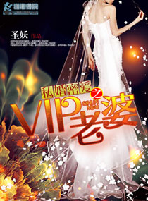 ˽���ܰ�֮VIP���ŷ���